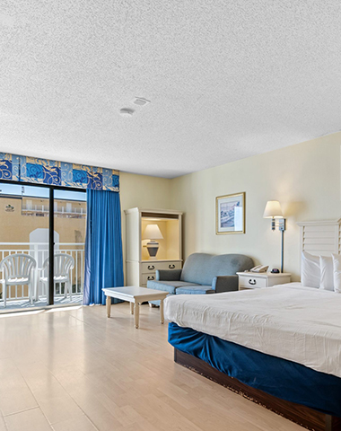 Ocean View: Driftwood